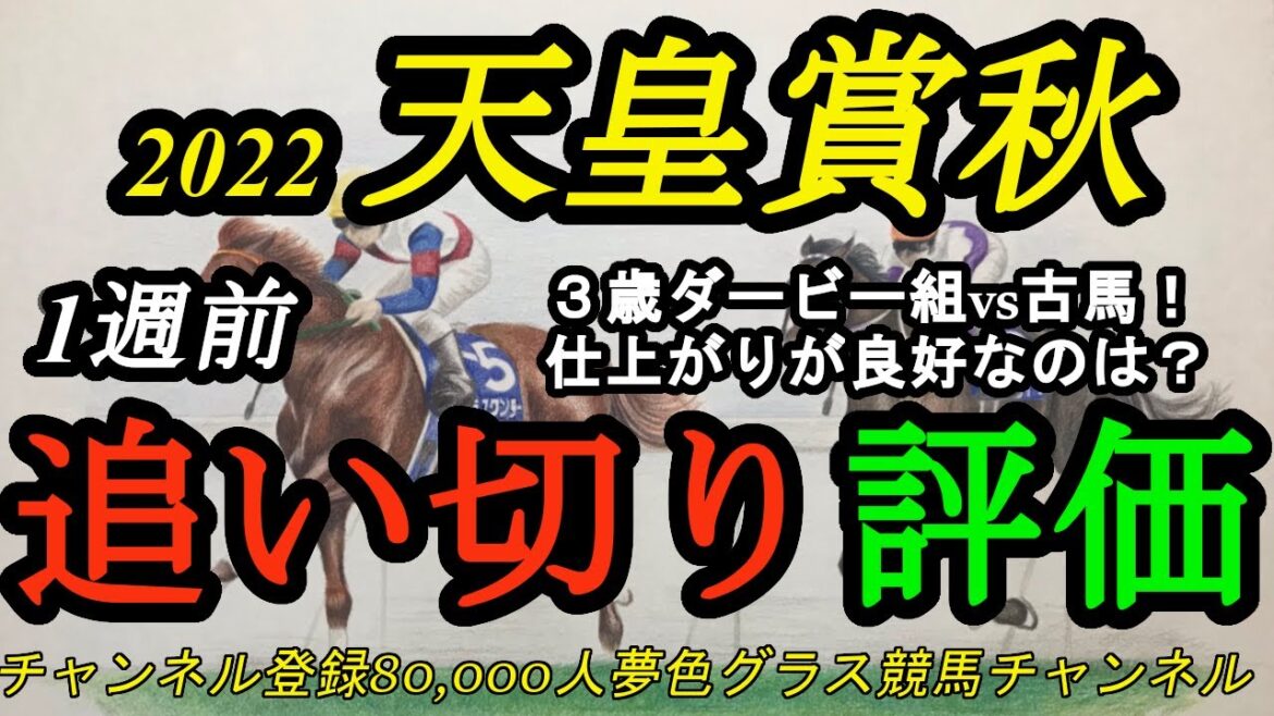 【1週前追い切り評価】2022天皇賞秋！ダービー組の3歳勢vs古馬！1週前で状態の良さを感じるのは？