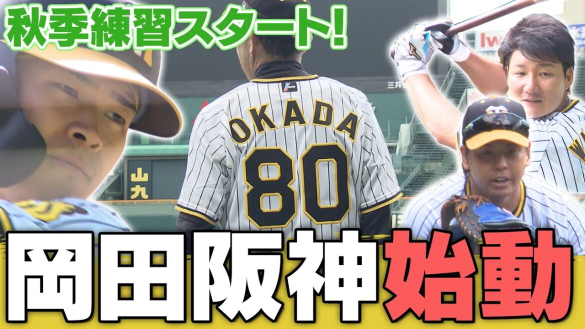 【秋季練習】新戦力、来年にかける男たちが甲子園に集結！新体制で来年への戦いはもう始まった！岩崎投手も居て安心しました。阪神タイガース密着！応援番組「虎バン」ABCテレビ公式チャンネル