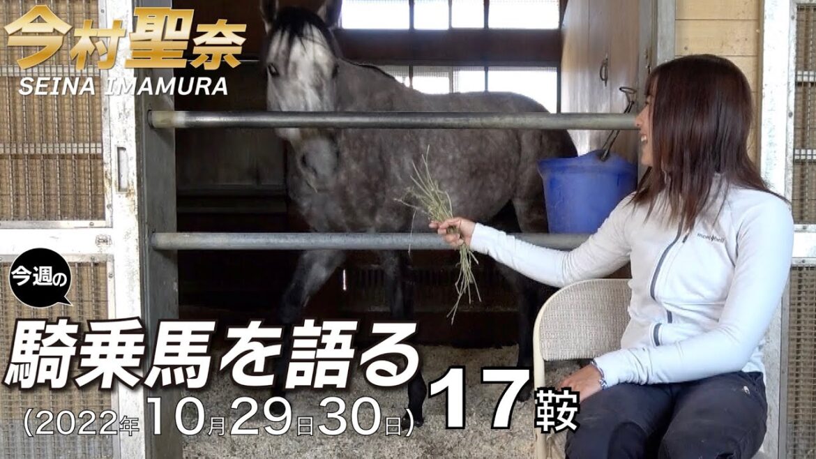 【今週の今村聖奈】今村聖奈騎手インタビュー  　来日したホリー・ドイル（Hollie Doyle）騎手から学びたいこととは？　　今週の騎乗馬について語ります《東スポ競馬ニュース》