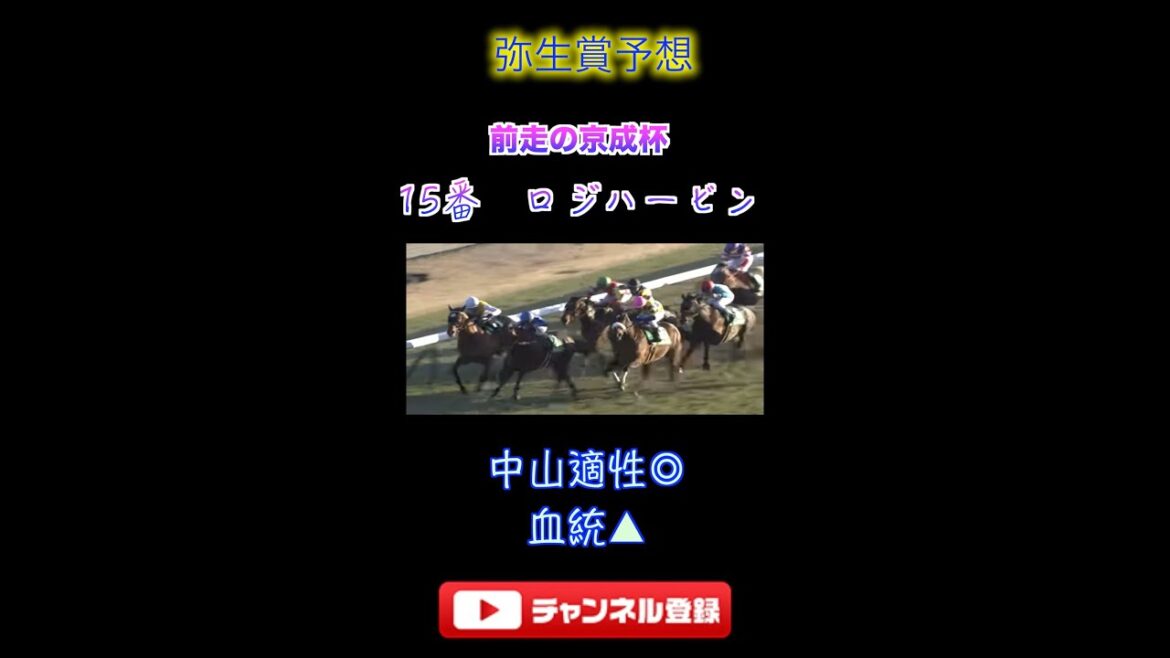 ロジハービンの中山適性抜群！！＃shorts#弥生賞＃ロジハービン