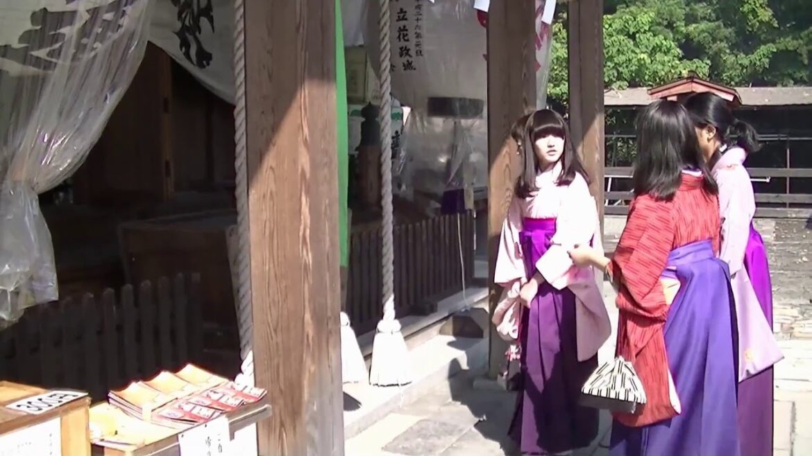 2015柳川菊の節句イベント街歩き