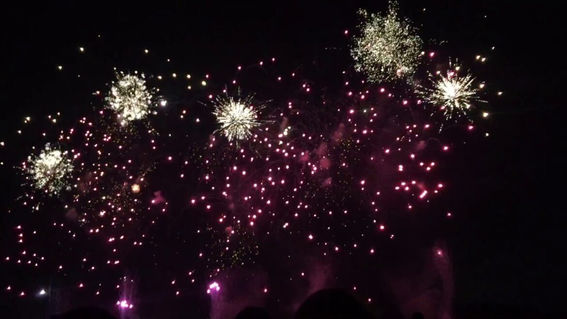 2019うつのみや花火大会@第1部 sparkling ONE OK ROCK