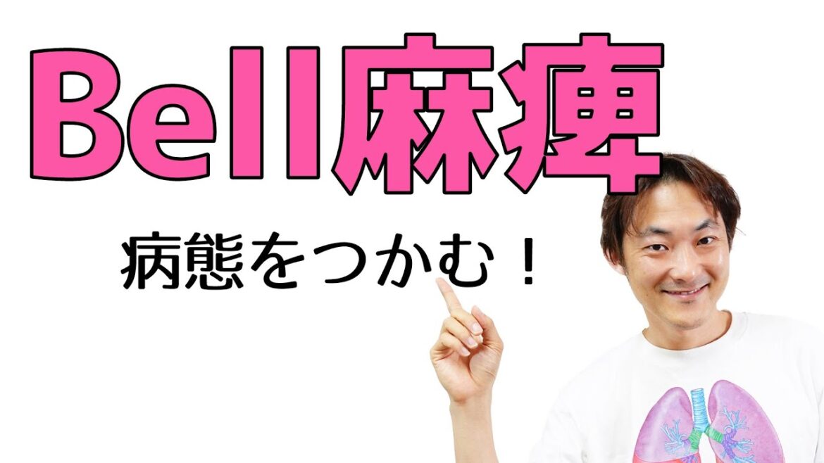 Bell麻痺とは？：顔面神経(Part.4)