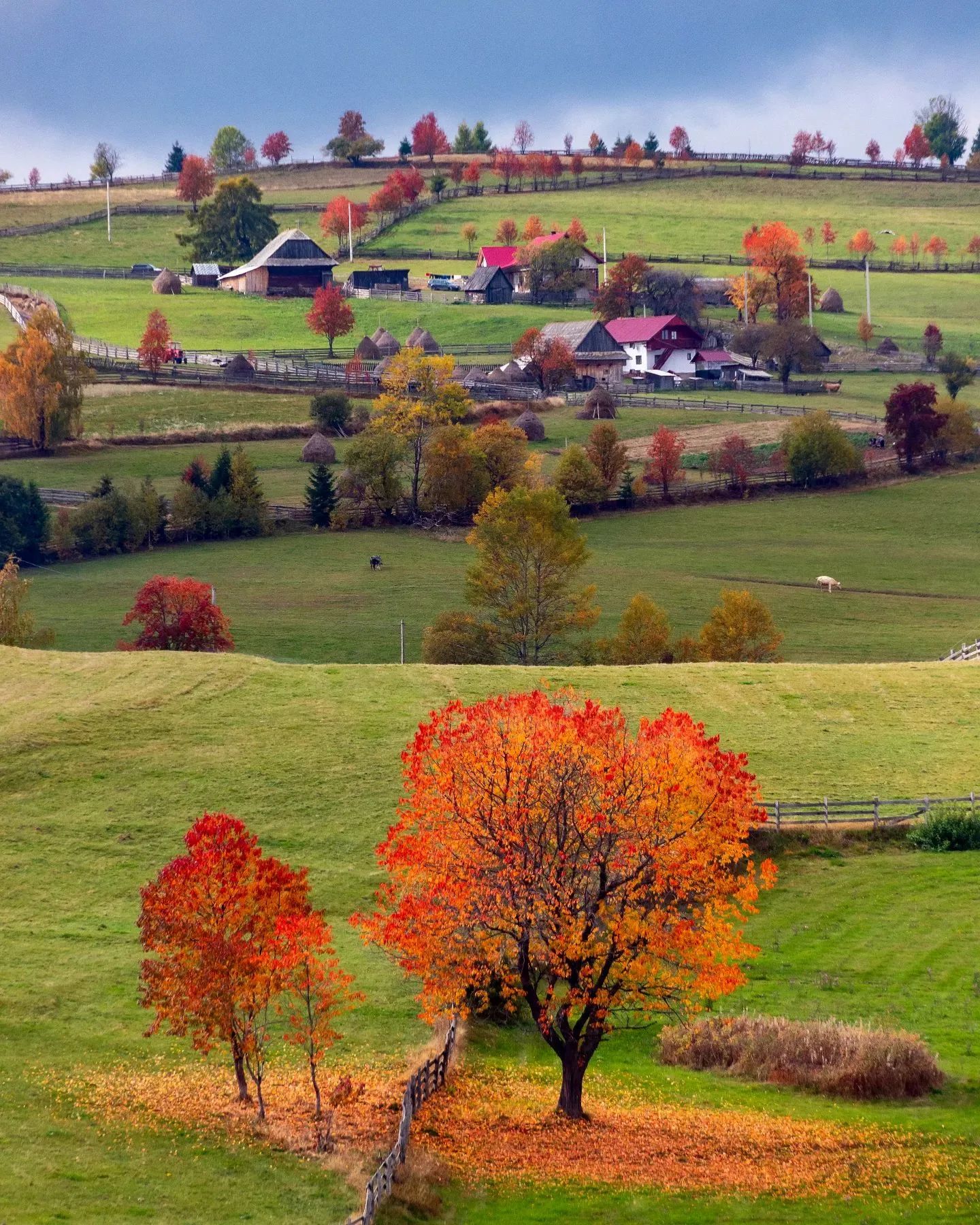 マリシェル、クルジュ、ルーマニア News WACOCA JAPAN People, Life, Style