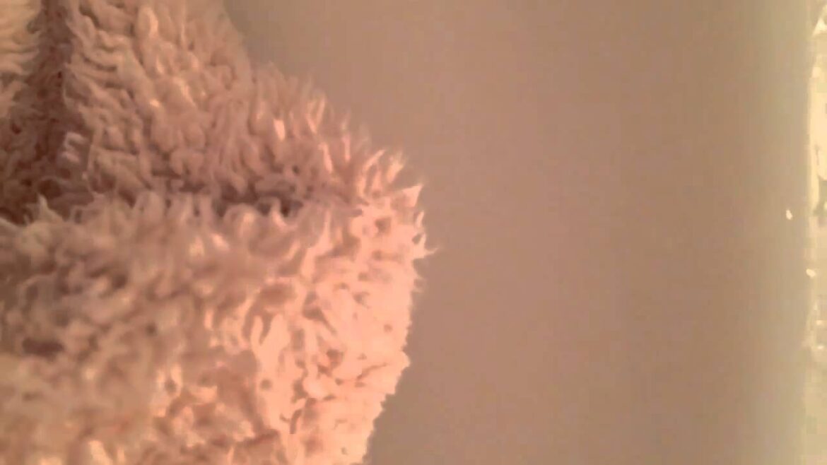 【入山杏奈 Twitter】 150316 AKB48 Iriyama Anna