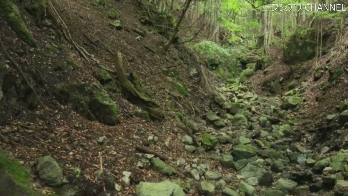 【美咲ちゃん事件】犯人はまた遺留品を置きに来た