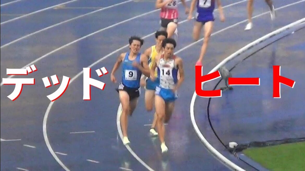 少年・成年 男子800m 決勝 栃木国体陸上2022