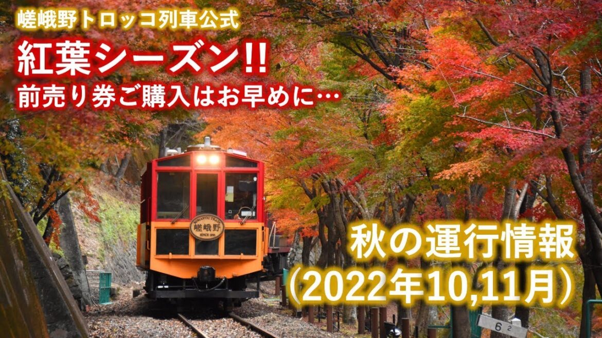 嵯峨野トロッコ列車 秋の運行情報(2022年10、11月)【紅葉】【光の幻想列車】