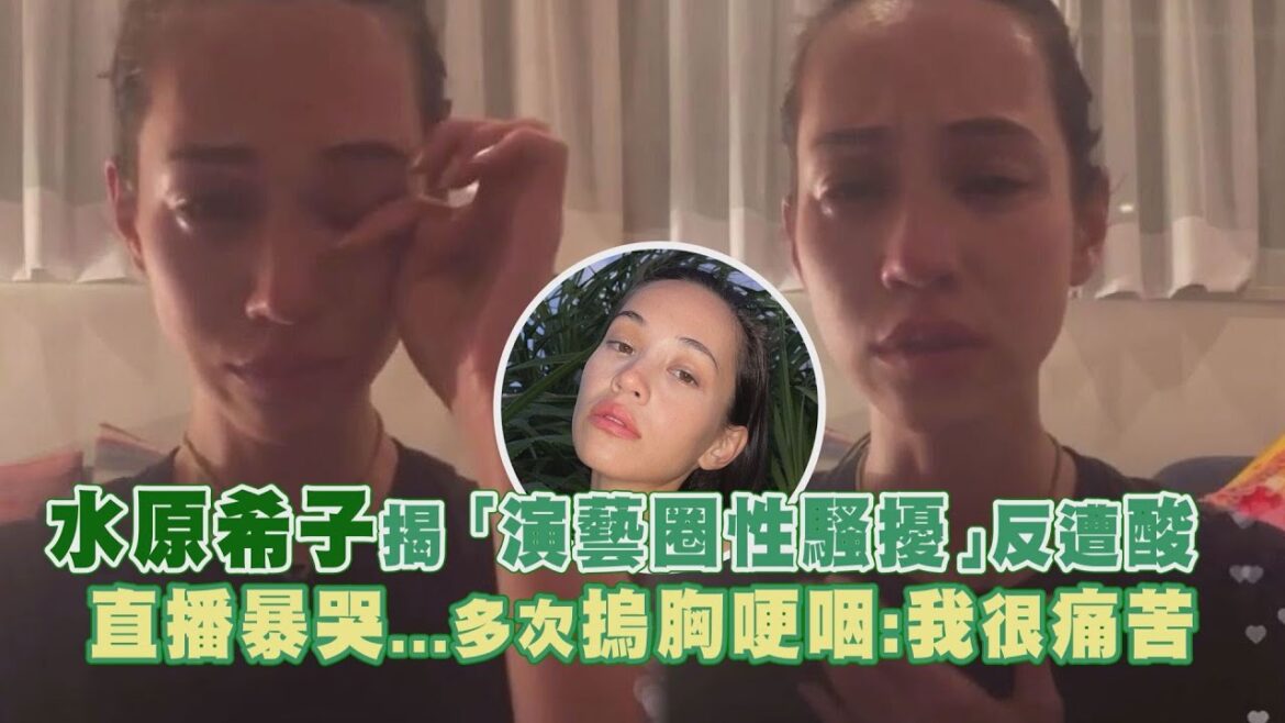水原希子揭「演藝圈性騷擾」反遭酸 直播暴哭…多次摀胸哽咽:我很痛苦 水原希子揭「演藝圈性騷擾」反遭酸 直播暴哭...多次摀胸哽咽:我很痛苦