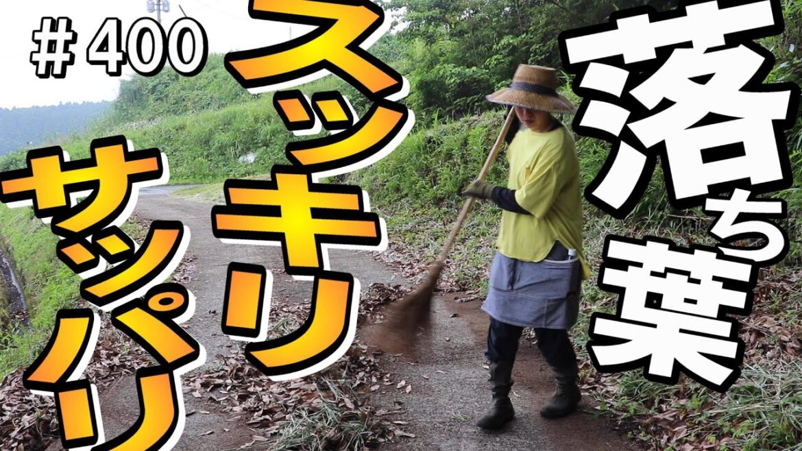 竹箒一本で落ち葉掃除したら暑くて塩日向夏ジュースが最高にうまかった 竹箒一本で落ち葉掃除したら暑くて塩日向夏ジュースが最高にうまかった