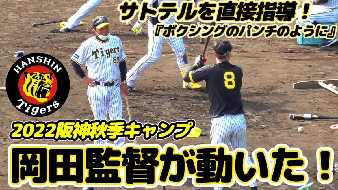 【≪岡田阪神！ついに岡田監督が直接指導！≫打撃フォーム改造に取り組むサトテルに指揮官のメスが入る！/2022阪神タイガース秋季キャンプ第4クール初日】2022/11/15阪神タイガース・佐藤 輝明#8