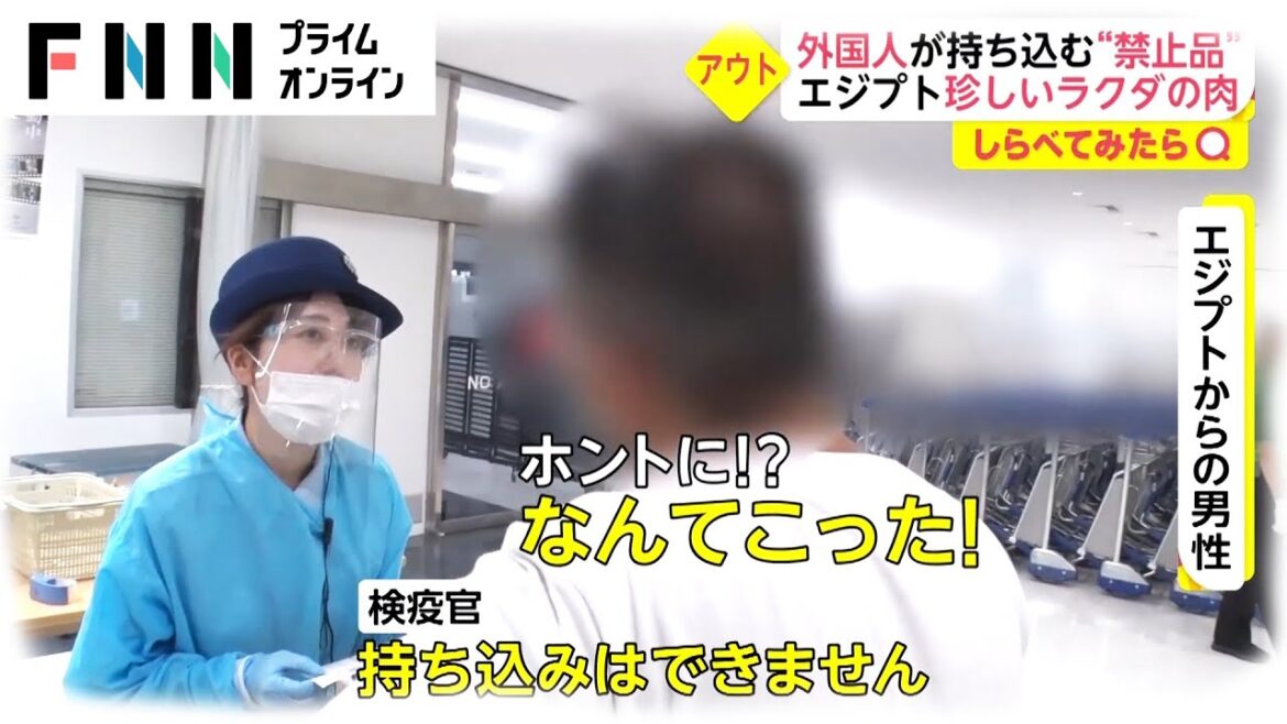 【しらべてみたら】鞄の中からラクダのお肉！外国人の持ち込み禁止品