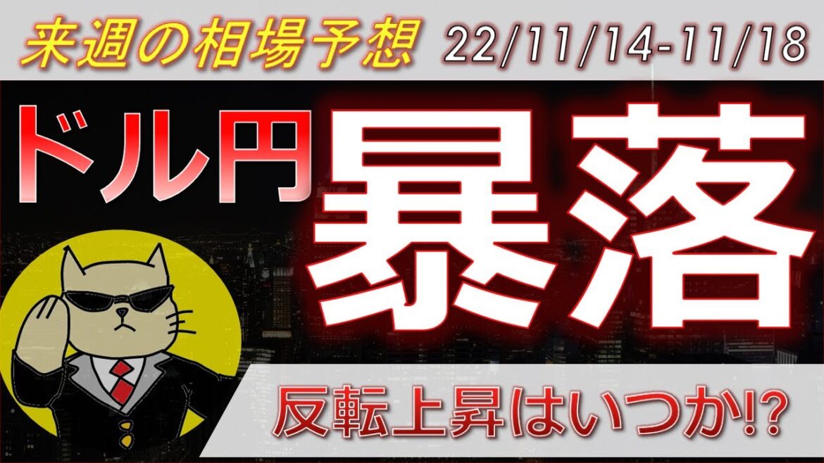 【ドル円最新予想】ドル円暴落！いつまで円高？CPI後なぜ暴落？理由を簡単解説！来週の為替相場予想と投資戦略ご紹介！FRBタカ・PPI・小売売上高・中間選挙・介入にも注目 (22/11/14週)【FX】