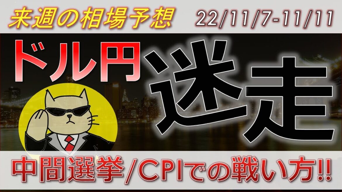 【ドル円最新予想】雇用統計後ドル円なぜ伸びない？理由を簡単解説！FOMC・ISM結果も踏まえ、来週の為替相場予想と投資戦略ご紹介！ CPI・米国中間選挙・為替介入にも注目！(22/11/7週)【FX】