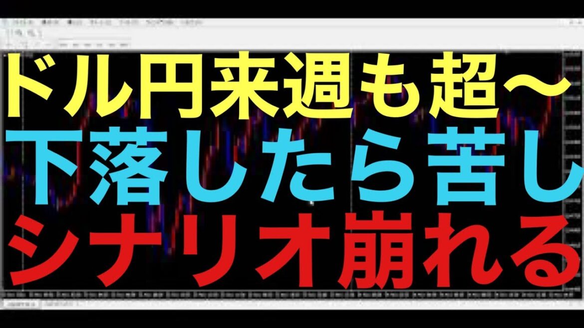 【ドル円FX雑談ライブ】果たして今後のドル円相場はどるなるのか！？一転して流れが変わるか！？そのまま下落し続けるか！？
