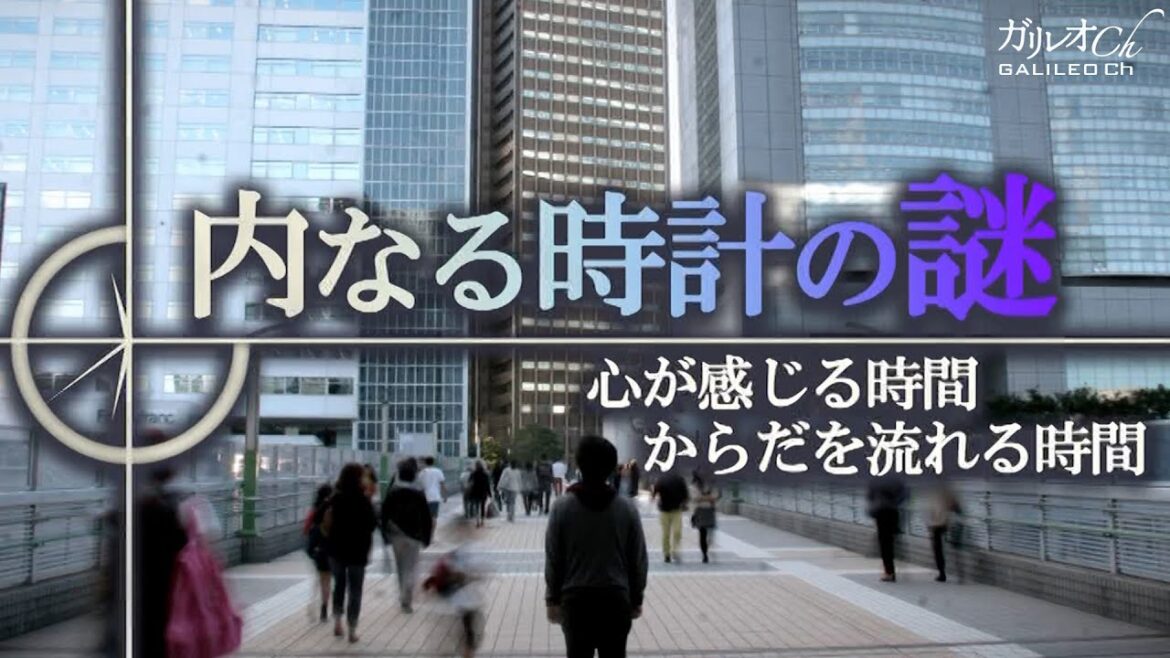 【体内時計の不思議】内なる時計の謎　心が感じる時間・からだを流れる時間 | ガリレオX第64回