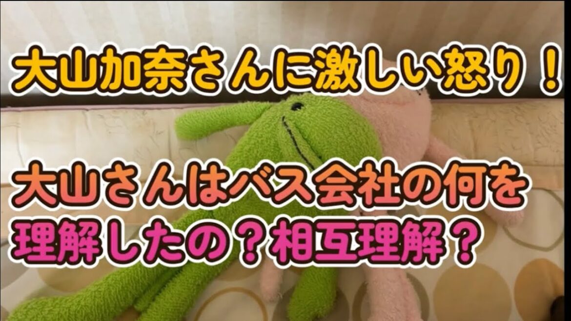 【大山加奈さんの双子のベビーカーに怒り】バス会社と相互理解って何だよ！あなたはバス会社の何を理解したの？利用者の何を理解したの？【東急バス】