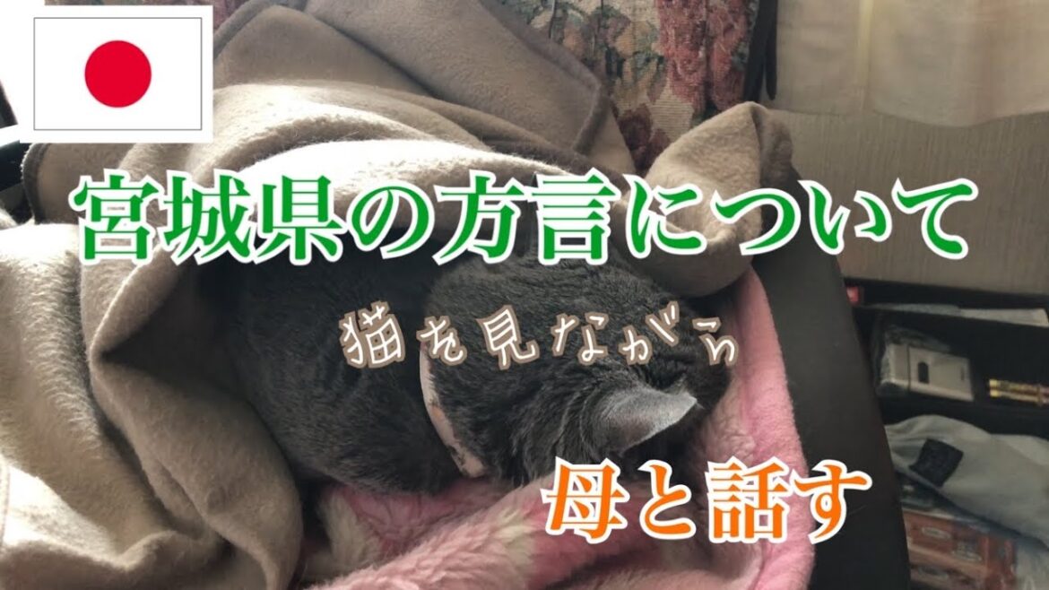 【日本語会話】宮城県の方言について母と私が会話するとき