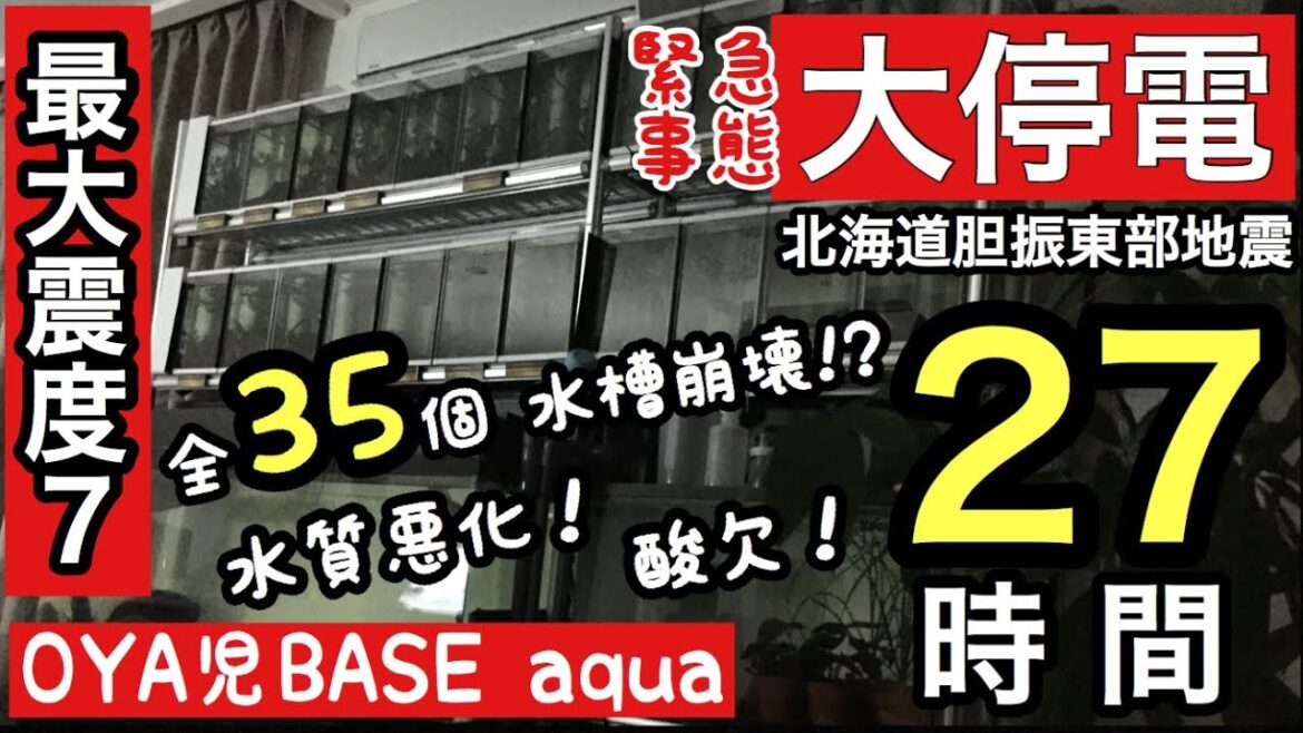 【最大震度7／大停電27時間】北海道大地震 35個の水槽 停電中の水質維持方法〜20180911〜