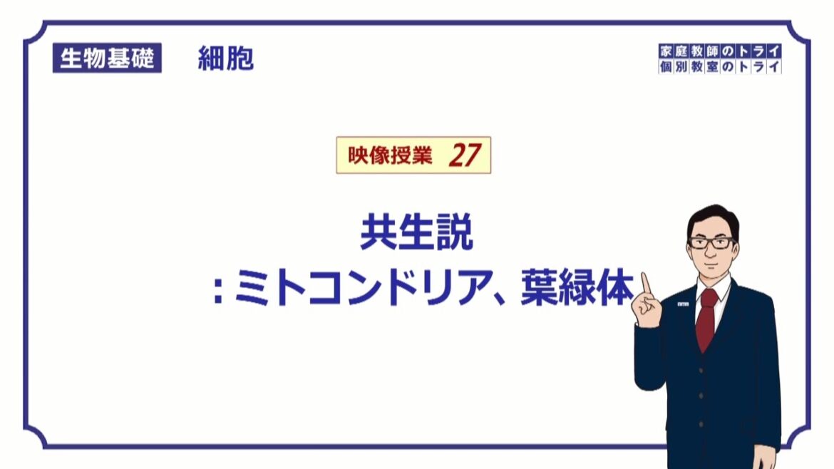 【生物基礎】　細胞27　共生説 （１１分）