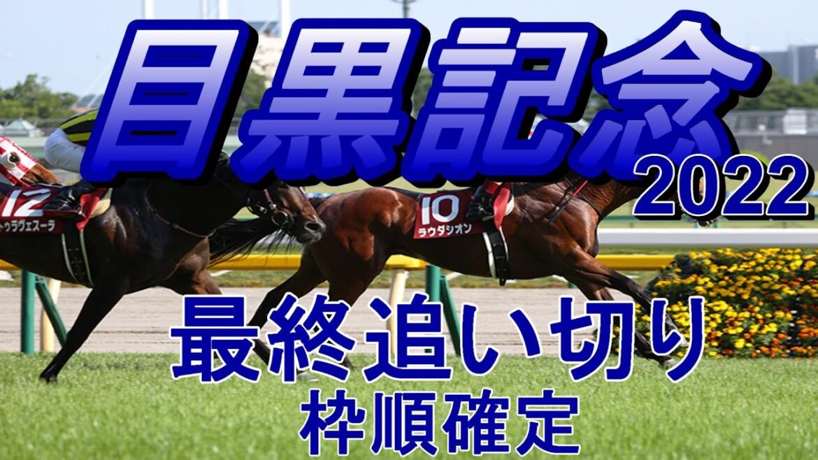 【目黒記念2022】第136回目黒記念最終追い切り（枠順確定）