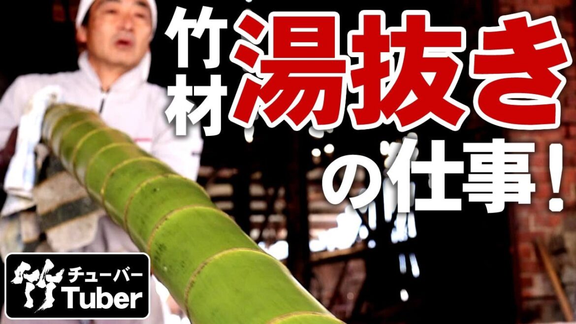 【竹虎】豪快！日本最大級の孟宗竹を湯抜き加工する竹工場の仕事！竹チューバー竹虎四代目の世界 Japanese bamboo