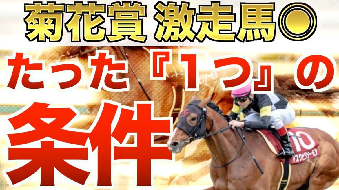 【菊花賞2022】え？これだけでいいの？的中へ『1つ』の必勝法