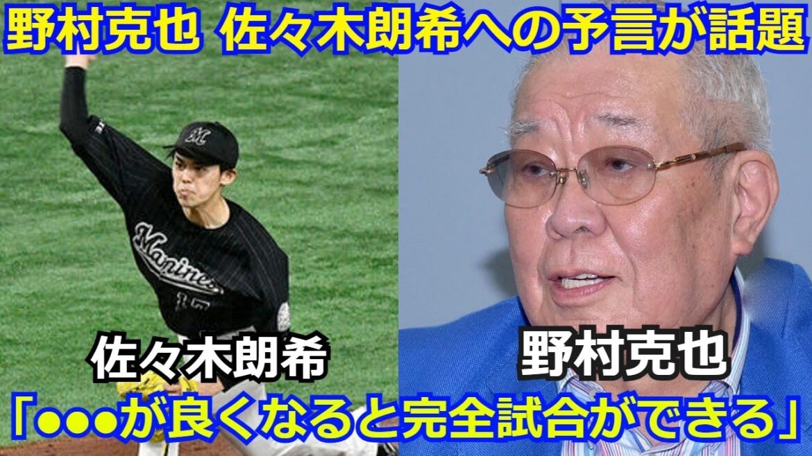 【衝撃】野村克也さんが佐々木朗希が完全試合することを予言していたことが話題に「彼は●●●が良くなるととんでもない怪物になる。」ロッテ プロ野球