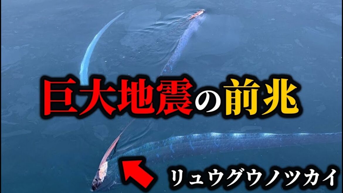【警告】日本で南海トラフの前兆！？今すぐ巨大地震に備えよ!【南海トラフ前兆】【ゆっくり解説】