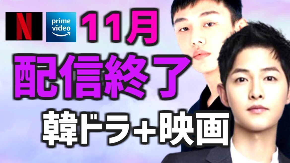 【配信終了】11月に終わるAmazonプライムビデオとNetflixの韓国ドラマ・映画【アマプラ ネトフリ 2022年 簡単あらすじ】