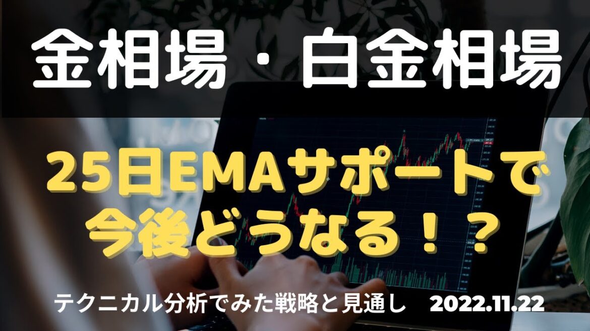 【金相場・白金相場】25日EMAサポートで今後どうなる！？　テクニカル分析でみた見通しと戦略 11月22日（火）