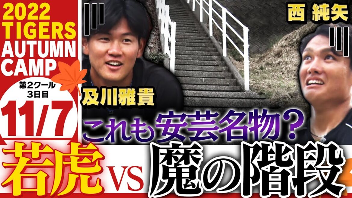 【11月7日秋季キャンプ】どこまで飛ばすねん大山驚愕弾連発！前川&井上も打つ打つ！若虎に立ちはだかる魔の階段！阪神タイガース密着！応援番組「虎バン」ABCテレビ公式チャンネル