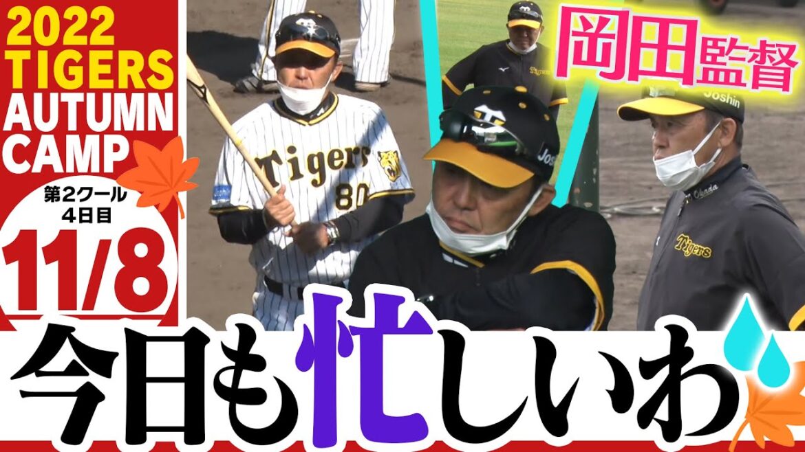 【11月8日秋季キャンプ】梅ちゃん絶好調！投手陣は今日も投げ込み！岡田監督が見守るシートノックで魅せた！やっぱりファーストは大山！？阪神タイガース密着！応援番組「虎バン」ABCテレビ公式チャンネル