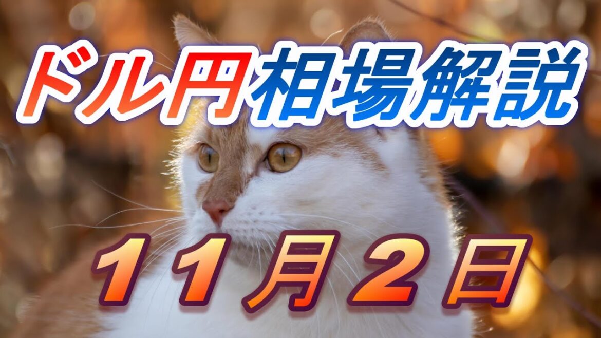 【TAKA FX】ドル円為替相場の前日の動きをチャートから解説。日経平均、NYダウ、金チャートも。11月2日