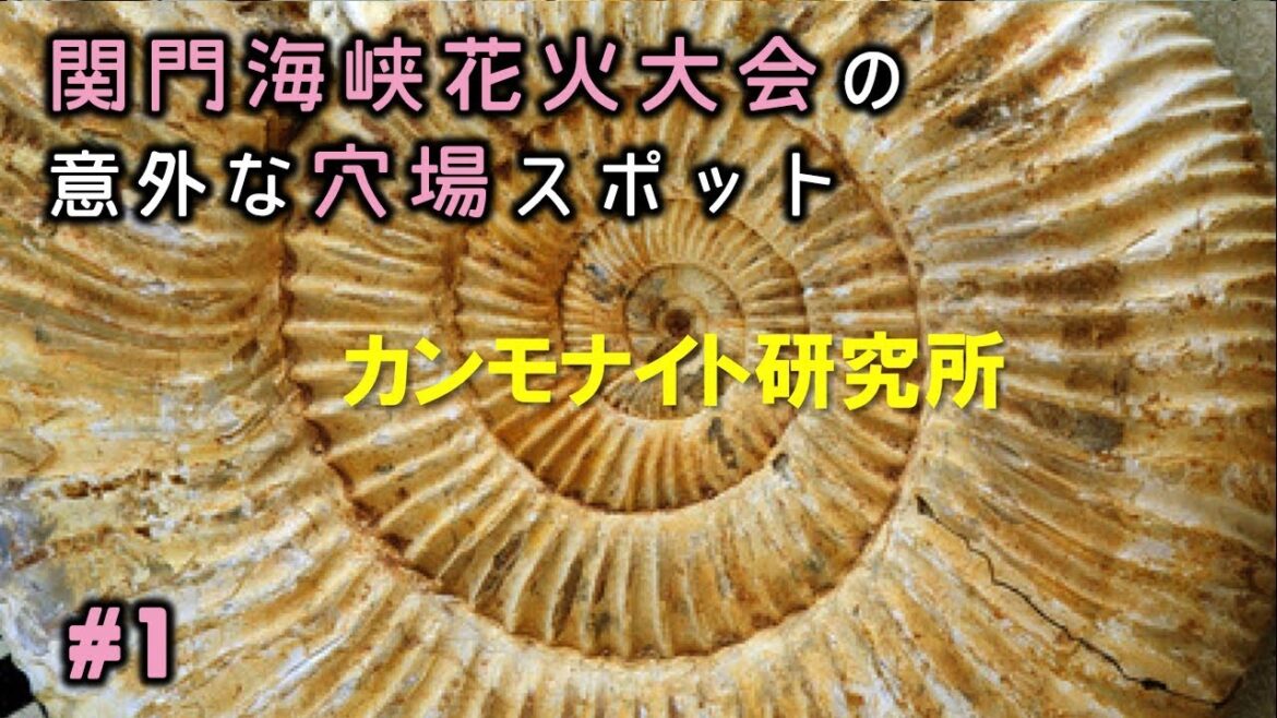 カンモナイト研究所#1　関門海峡花火大会の意外な穴場スポット