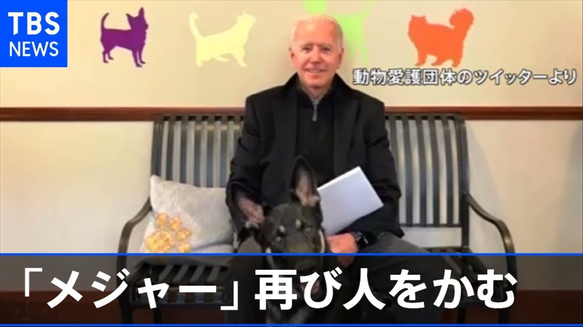 バイデン大統領の愛犬「メジャー」再び人をかむ ３月初めに続き