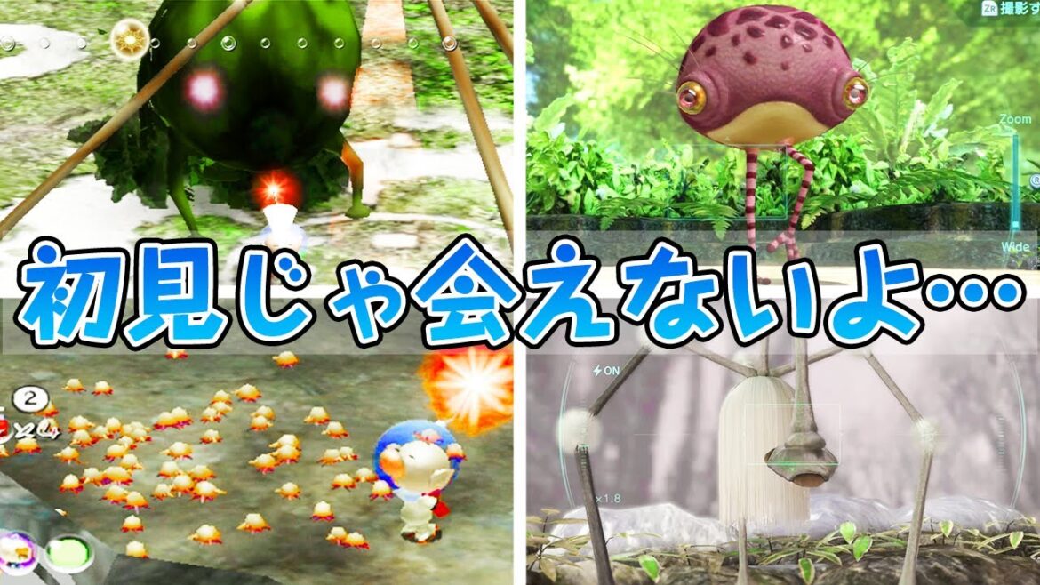 ピクミン歴代初見じゃ気づけない原生生物たち【ピクミン4発表記念】
