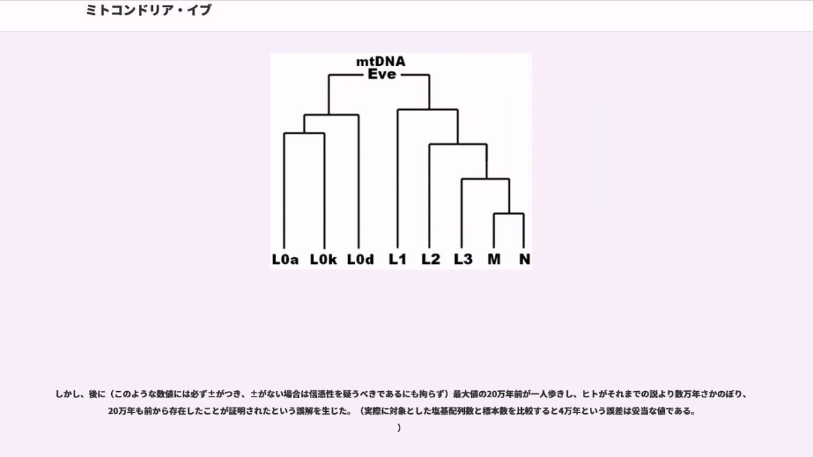 ミトコンドリア・イブ