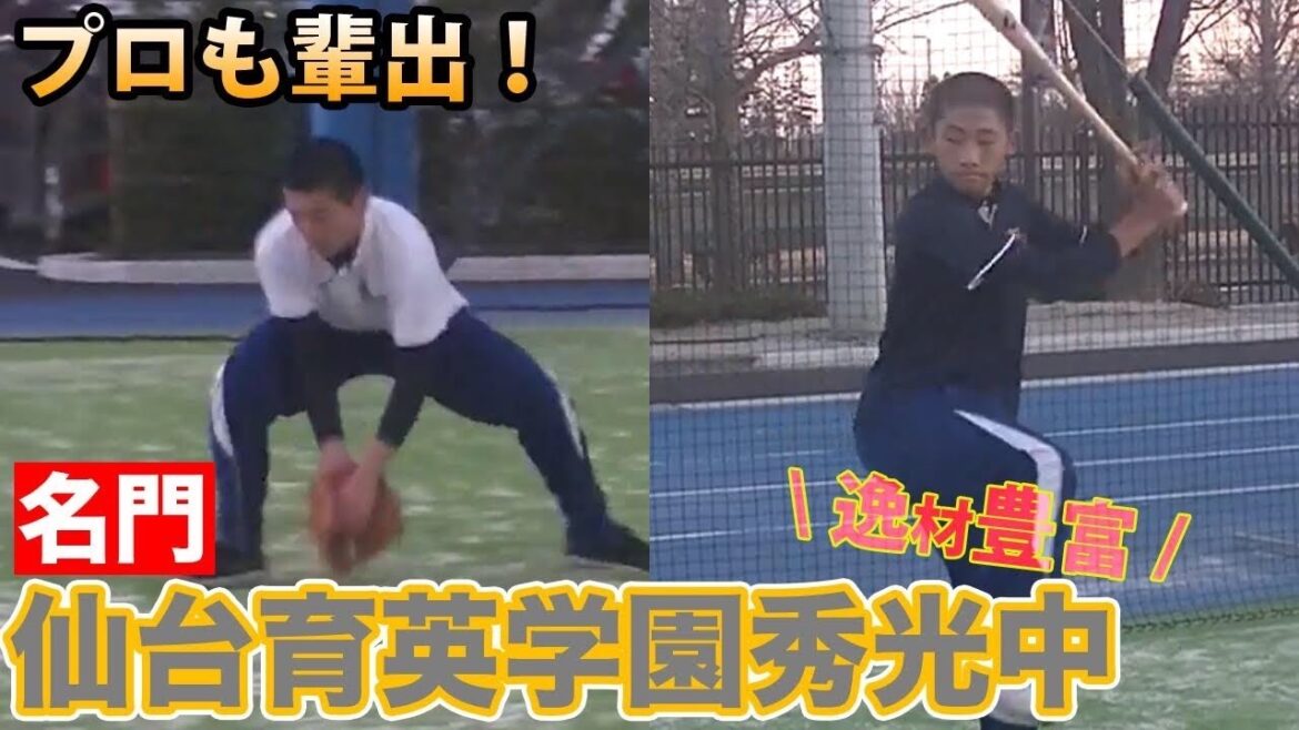 元U-12代表など逸材揃い！軟式の強豪・仙台育英学園秀光中の工夫だらけの練習に密着