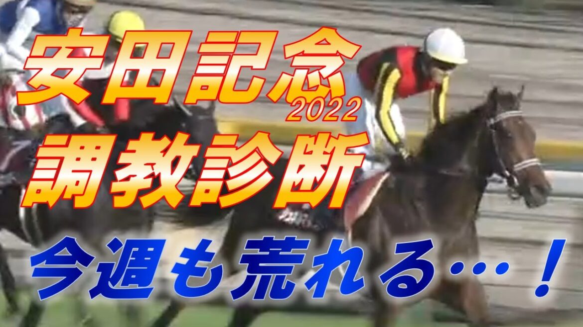 安田記念2022　追い切り診断！！　シュネルマイスターに異変！？　超意外な馬に100点が…！！　元馬術選手のコラム【競馬】