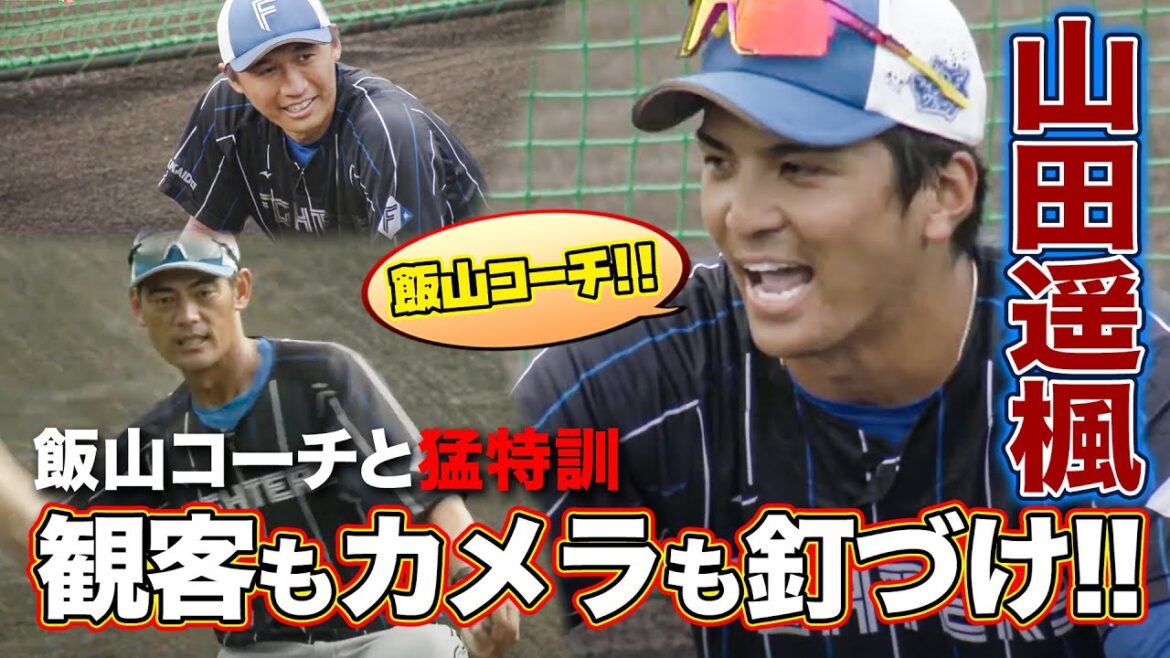 山田遥楓しか映らん！飯山コーチと声出し実況に中継席爆笑⁉上川畑大悟＆加藤豪将＜11/13ファイターズキャンプLIVE in Autumn 2022＞