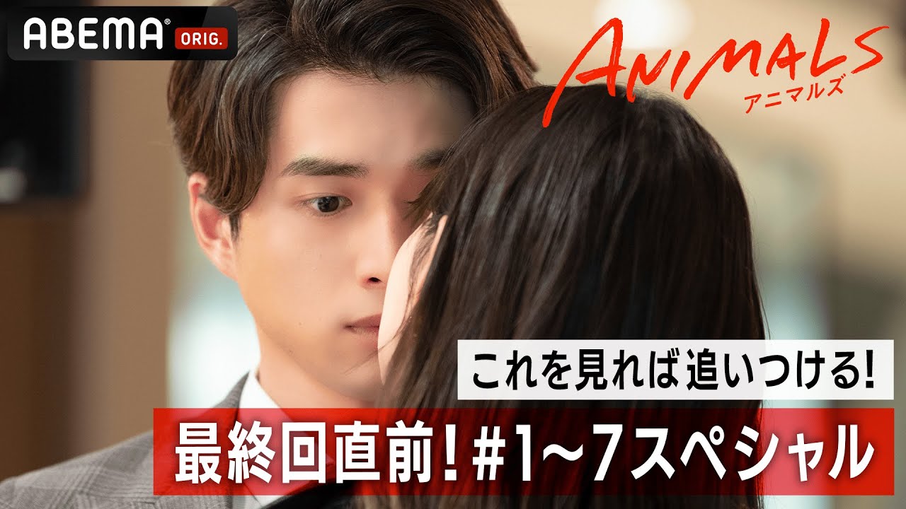 最終回直前!15分で追いつける⚡️恋も仕事も欲張りたい、大人たちの4角関係ラブ💋|1話〜7話スペシャル🐯💄『ANIMALS-アニマルズ-』毎週 ...