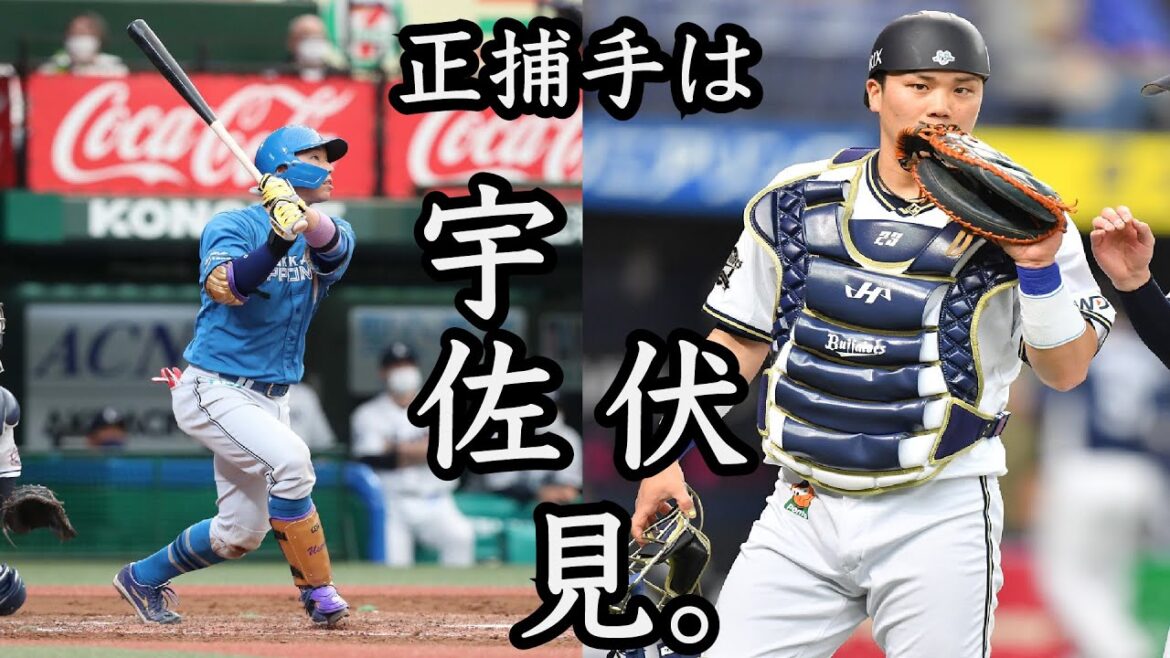 来季ファイターズの正捕手は、宇佐見／伏見！「とらうた」コンビがパリーグを荒らします【森／若月はもっとやばい】