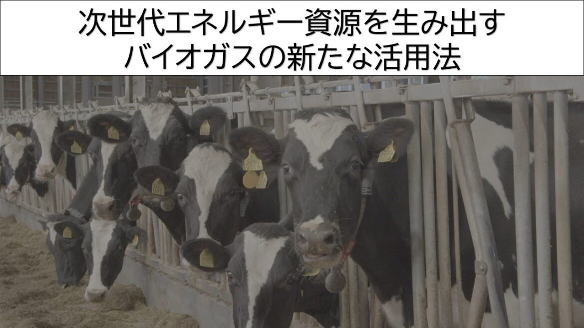 次世代エネルギー資源を生み出すバイオガスの新たな活用法