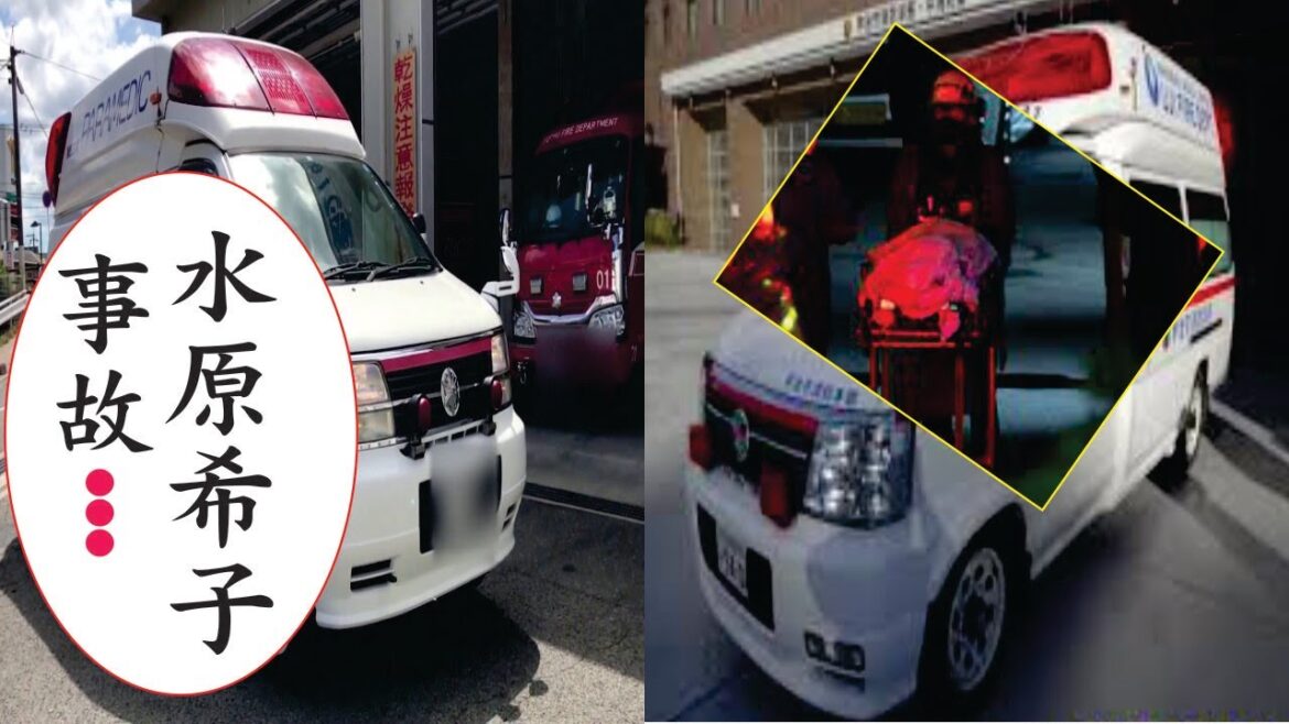 水原希子、現在の生活が衝撃すぎた…