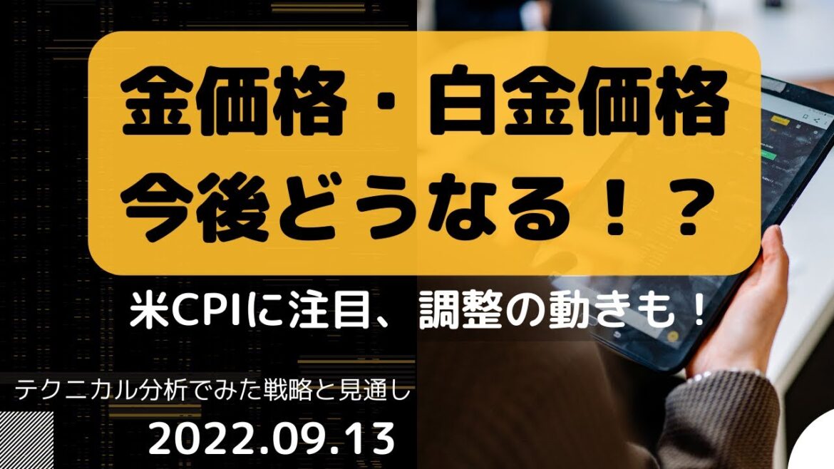 金価格・白金価格　今後どうなる！？ 米CPIに注目 調整の動きも！ テクニカル分析でみた見通しと戦略 9月13日（火）