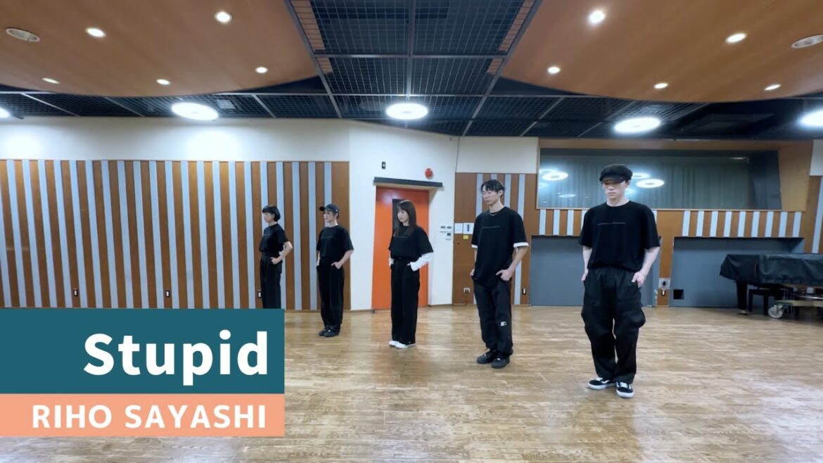 鞘師里保 - Stupid（Dance Practice）