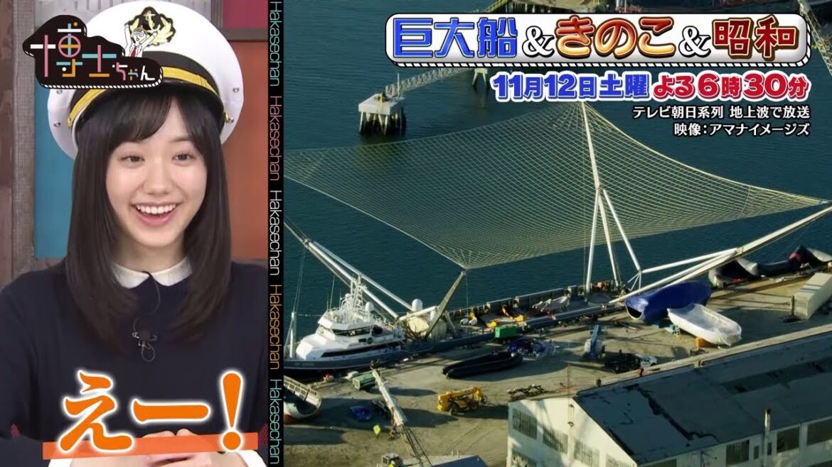 11月12日（土）サンドウィッチマン＆芦田愛菜の博士ちゃん90分SP！働く巨大船の驚きのスゴ技登場！きのこ狩り＆昭和レトロ写真撮影珍道中！