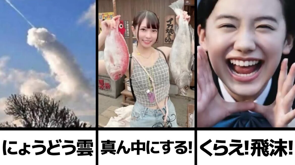 【超神回】殿堂入りボケての面白画像にツッコミ【高速100連発！】【150】
