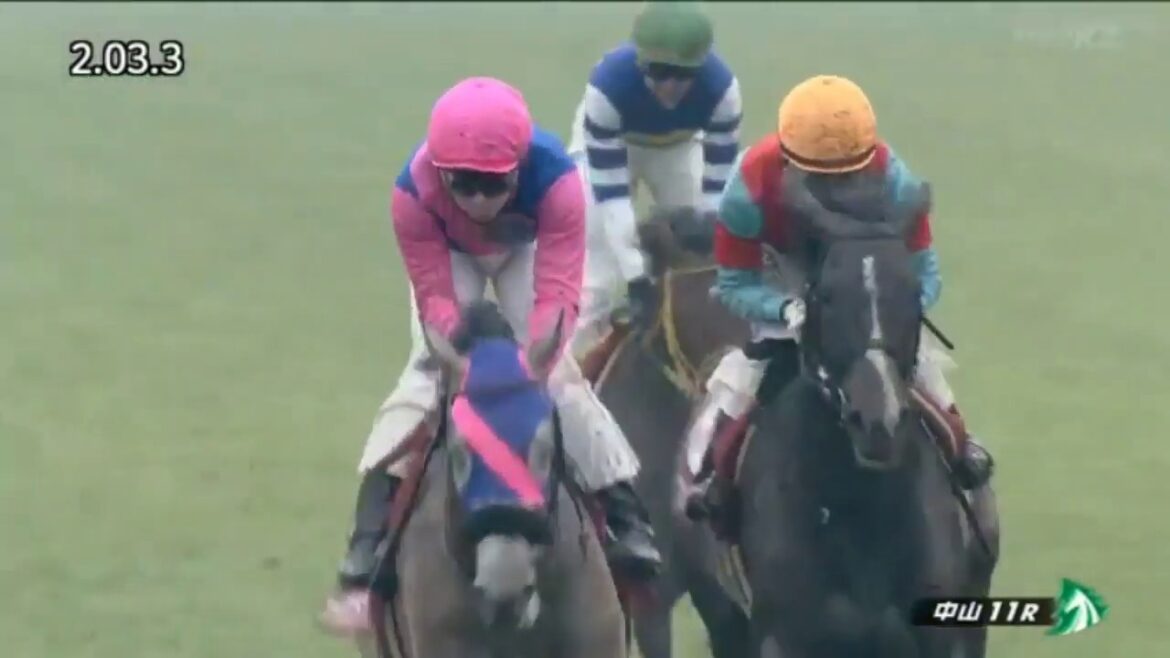 第65回【報知杯弥生賞】メイショウテンゲン